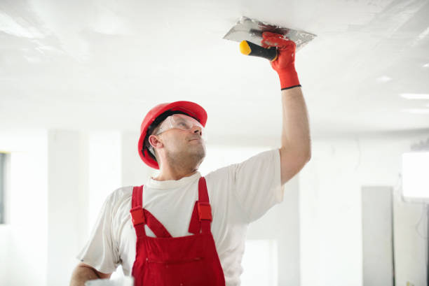 Best Drywall Sanding and Smoothing  in Hazel Crest, IL